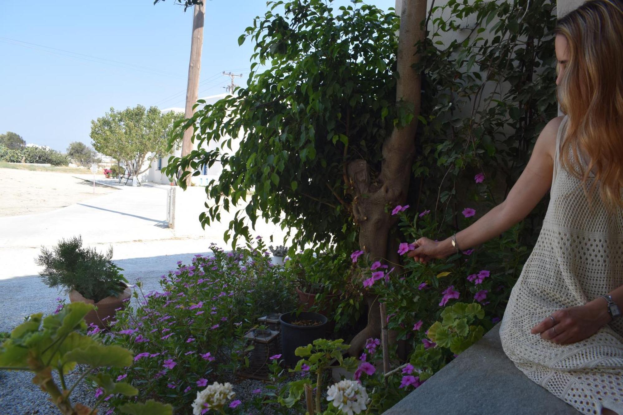 Birbas Hotel Agia Anna  Chambre photo
